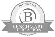 BADGE_Benchmark-Future-Star